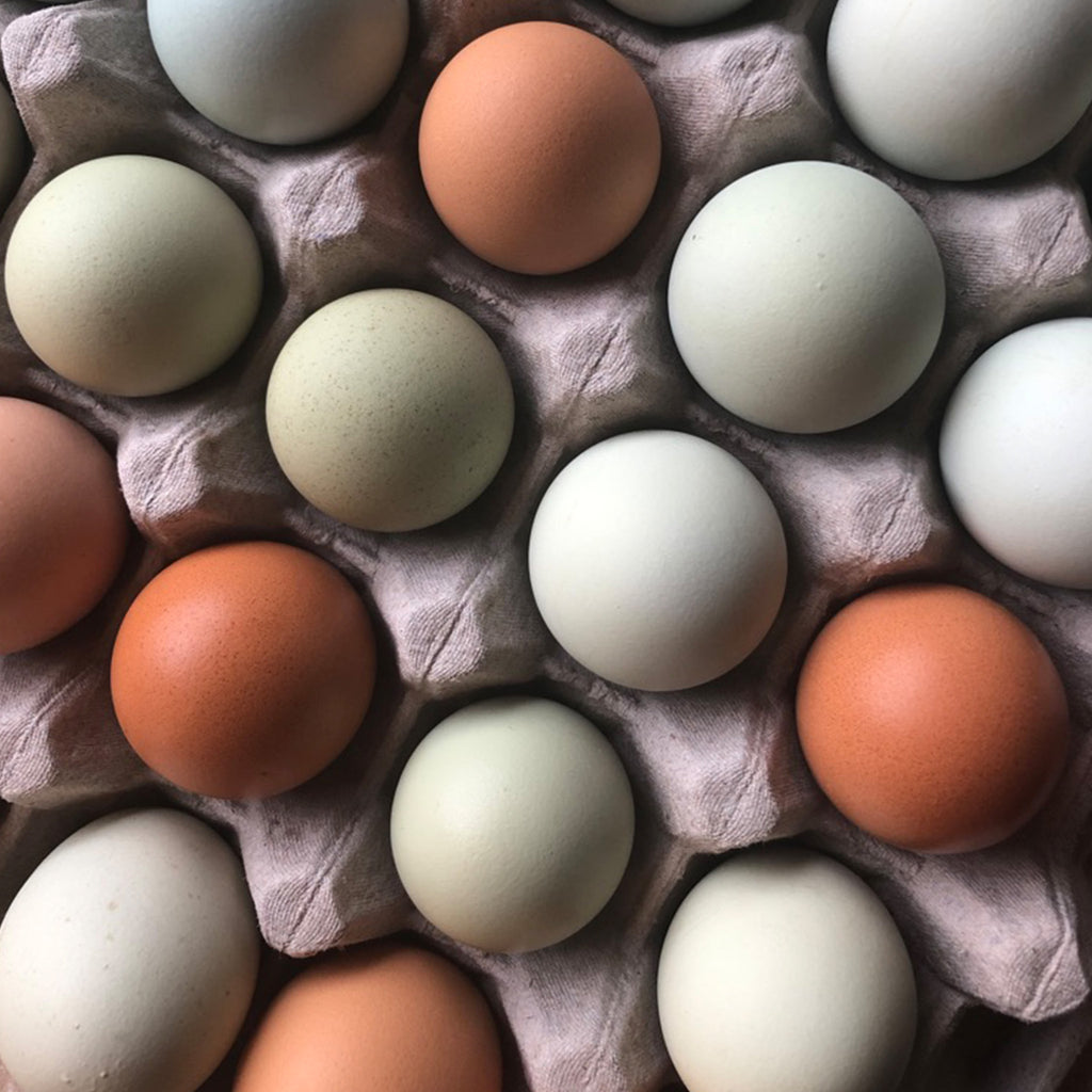 Heirloom Eggs